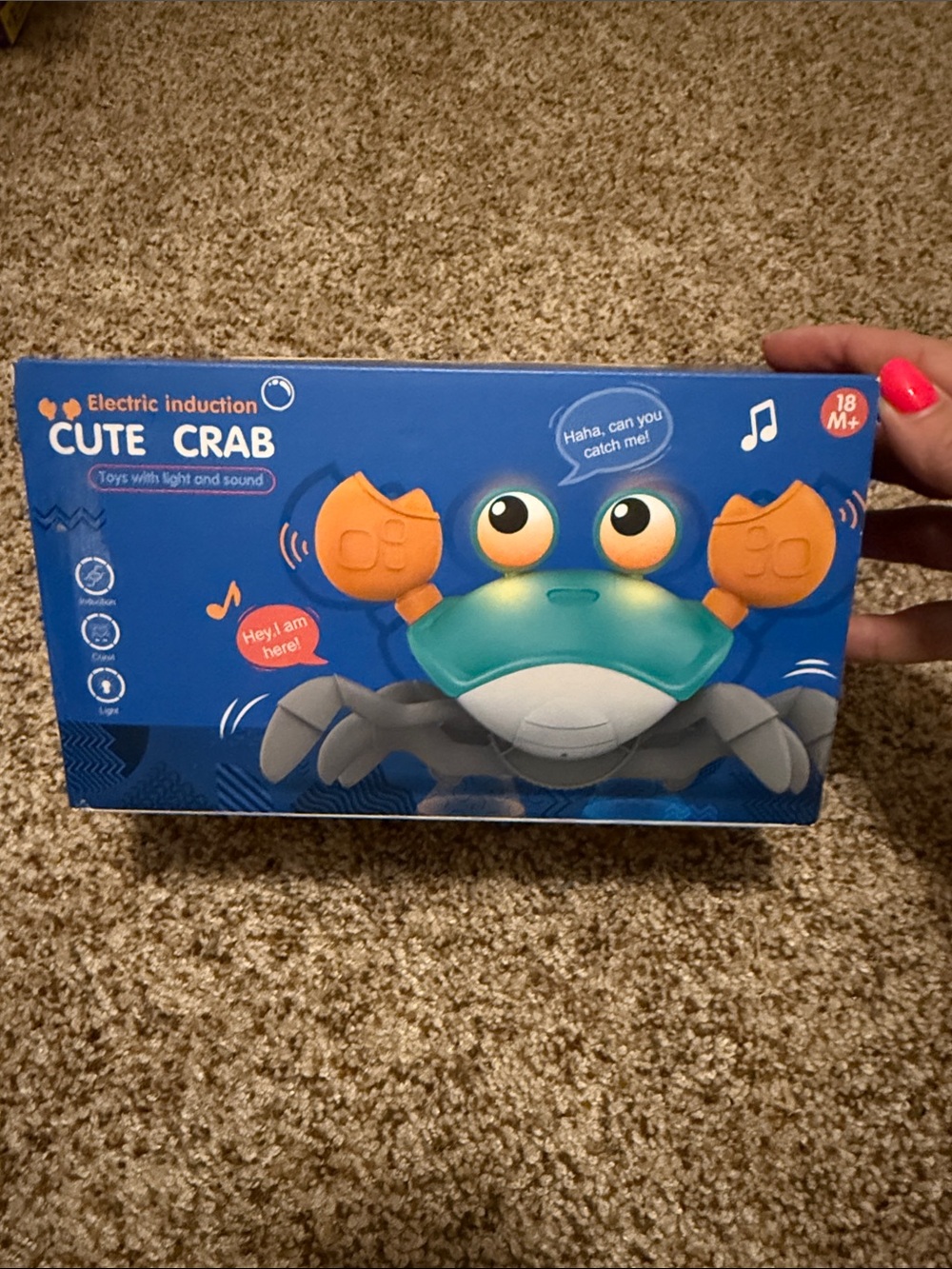 Cute Crab Light & Sound Toy - Glows and Crawls